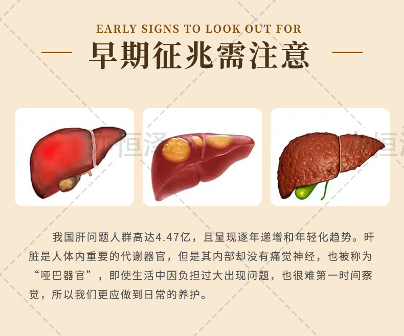 六味蒲6.jpg